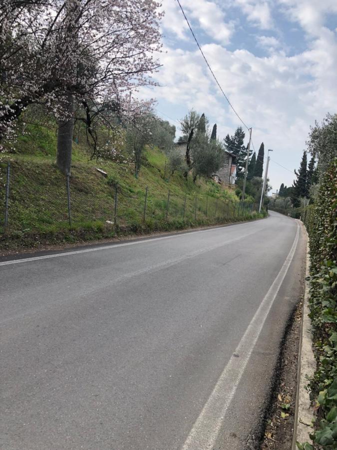 Apartament Casa Patrizia Torri Del Benaco Zewnętrze zdjęcie
